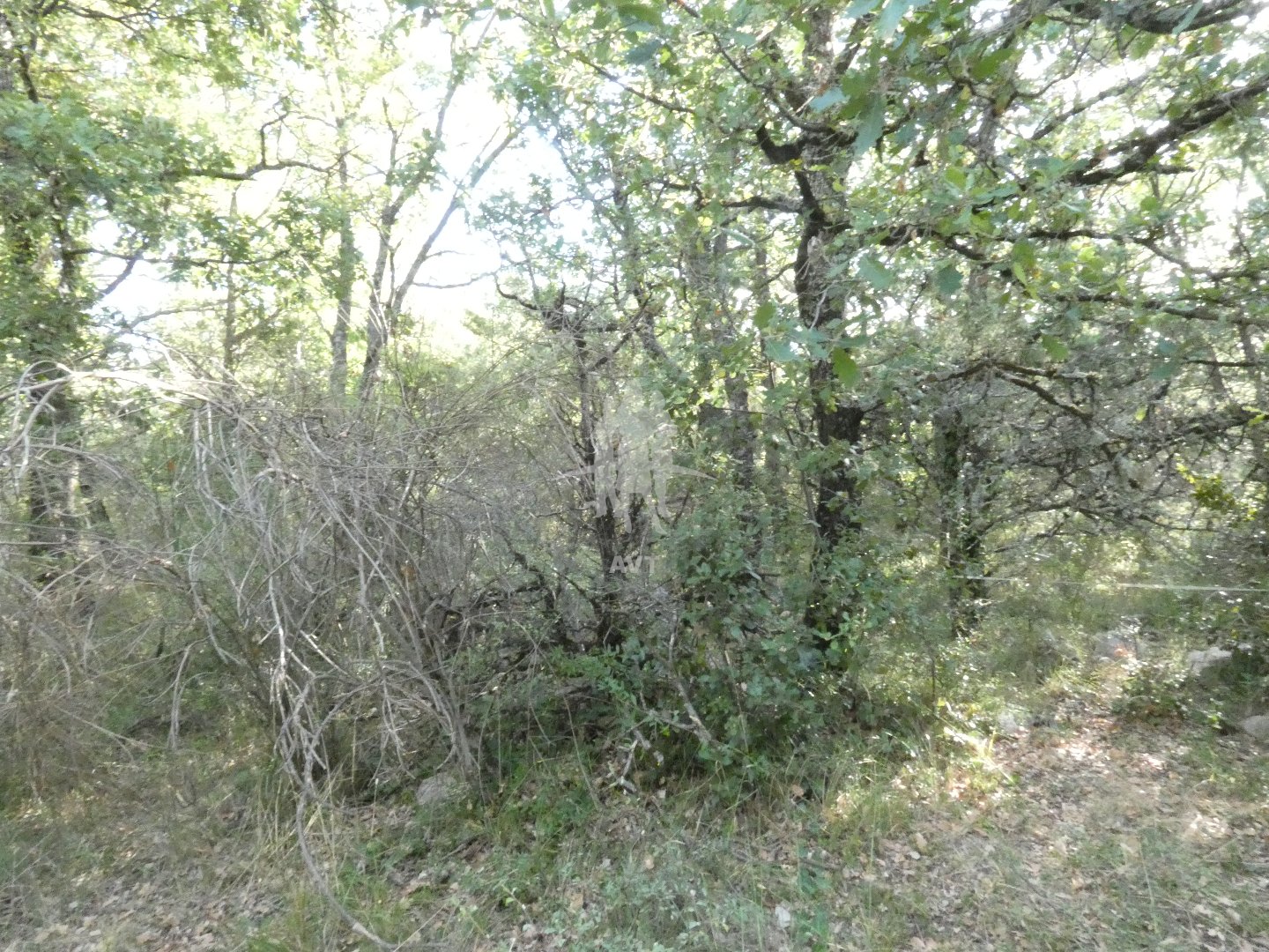 Terrain de loisir à vendre  - 5240m2 - Bargemon (83830)