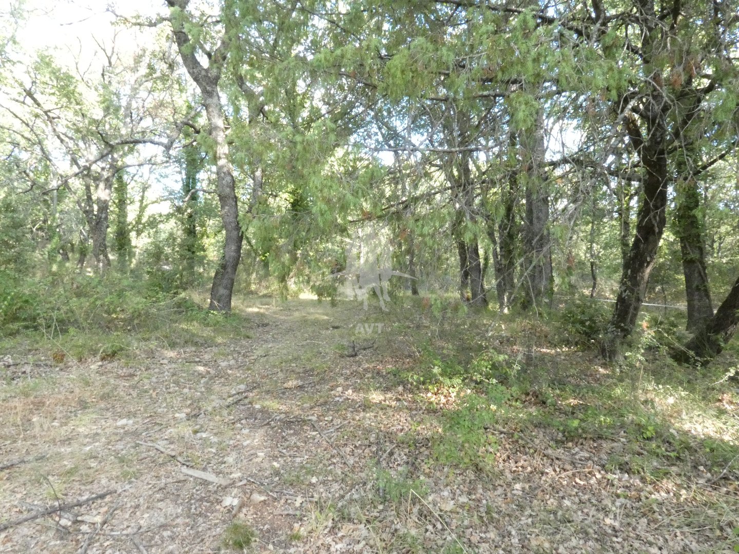 Terrain de loisir à vendre  - 5240m2 - Bargemon (83830)