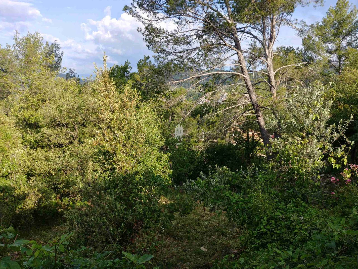 CALLAS :  Terrain 800m2, à 3mn du village.