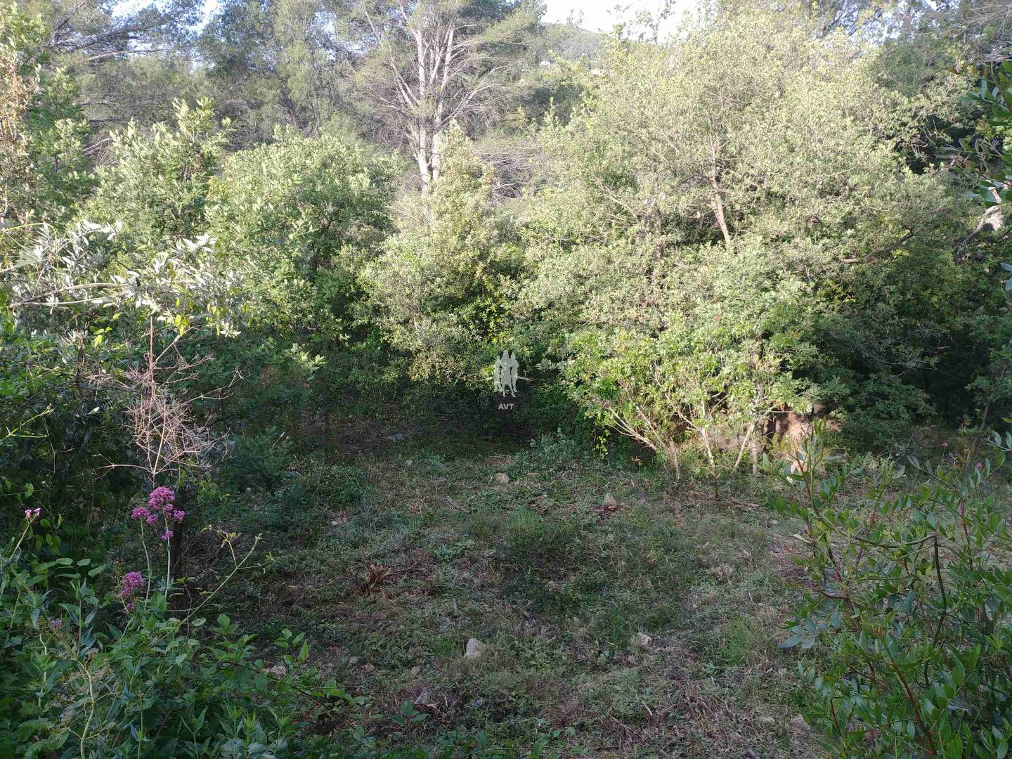 Terrain constructible à vendre  - 6230m2 - Callas (83830)