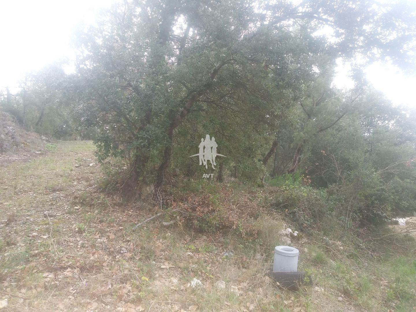 Terrain constructible à vendre  - 6230m2 - Callas (83830)