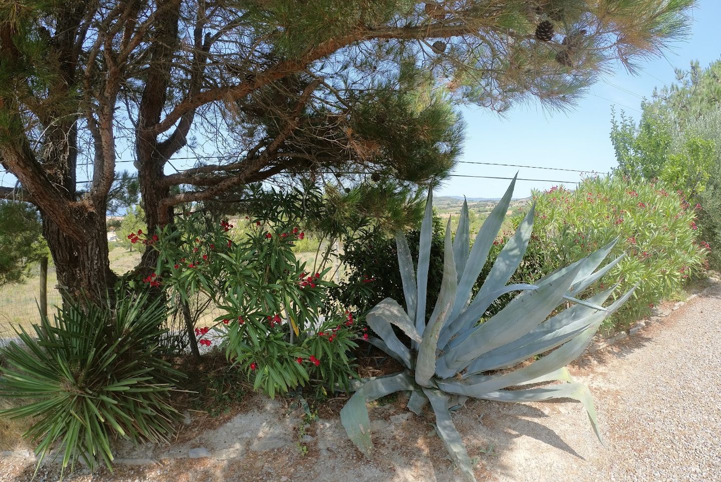 Maison individuelle à vendre  - 5 pièce(s) - 120m2 - Montbrun Des Corbieres (11700)