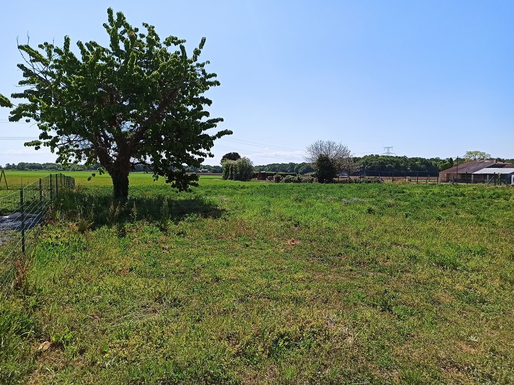 ENTRE PONS ET GEMOZAC