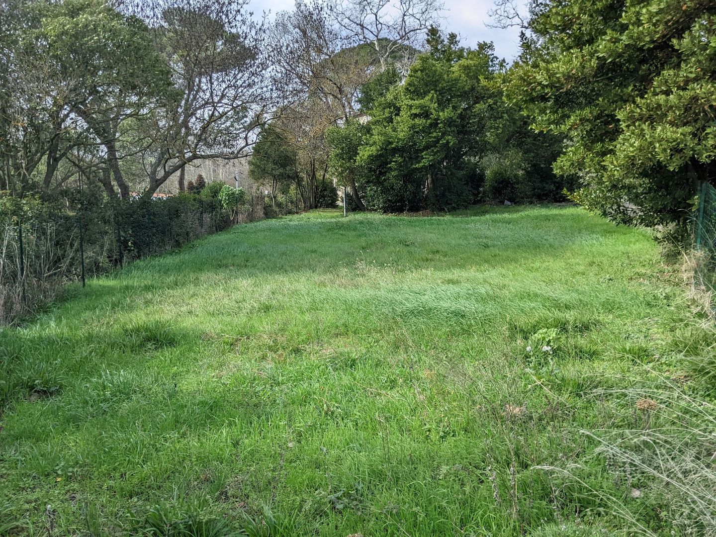 Maison de caractère à vendre  - 5 pièce(s) - 149m2 - Conques-sur-orbiel (11600)