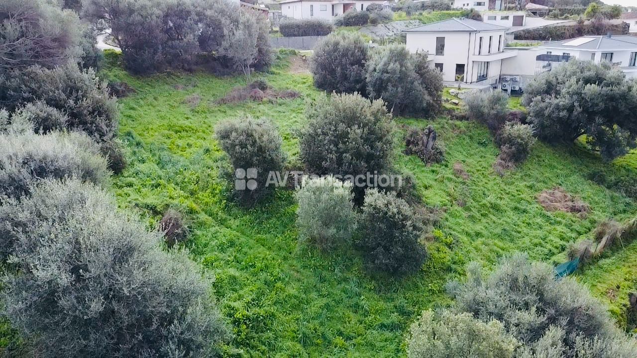 Terrain constructible à vendre  - 1976m2 - Bastelicaccia (20129)