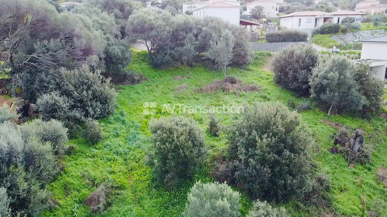 Terrain constructible à vendre  - 1976m2 - Bastelicaccia (20129)