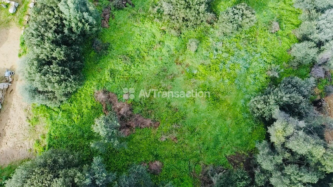 Terrain constructible à vendre  - 1976m2 - Bastelicaccia (20129)