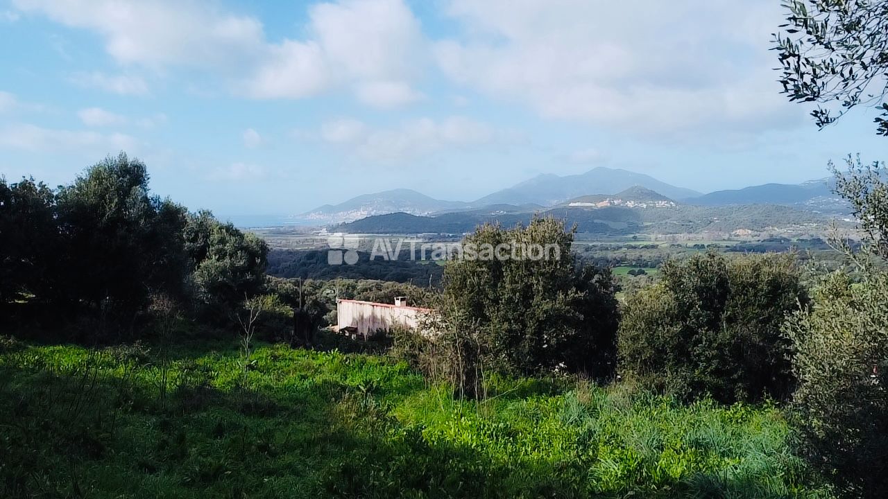 Terrain constructible à vendre  - 1976m2 - Bastelicaccia (20129)