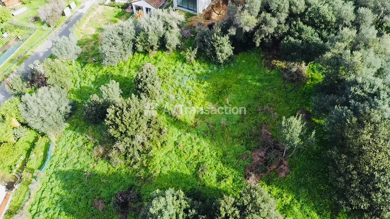 Terrain constructible à vendre  - 1976m2 - Bastelicaccia (20129)