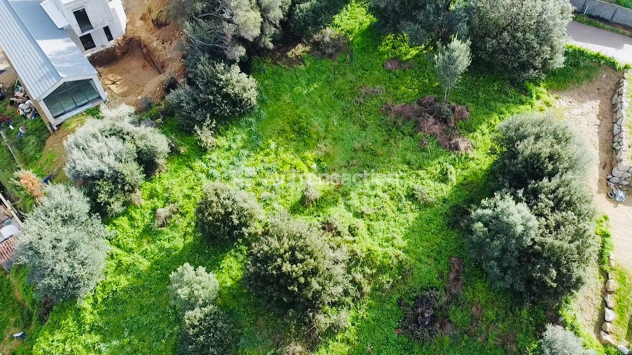 Terrain constructible à vendre  - 1976m2 - Bastelicaccia (20129)