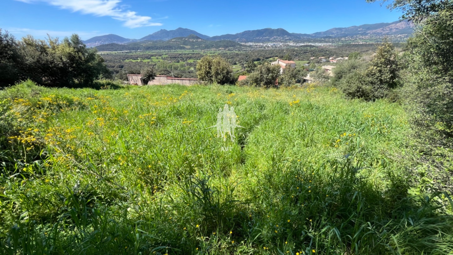 Terrain constructible à vendre  - 1976m2 - Favale (20129)