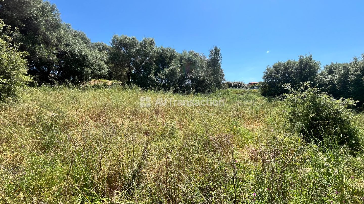 Terrain constructible à vendre  - 1976m2 - Favale (20129)