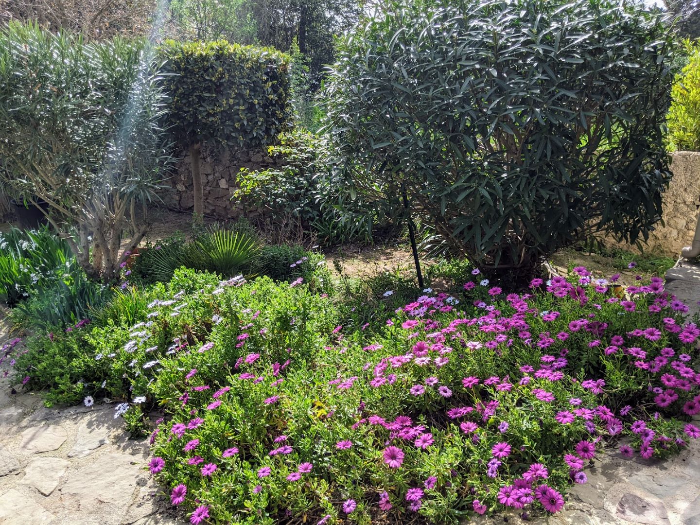 Maison à vendre  - 5 pièce(s) - 168m2 - Castelnau-d'aude (11700)