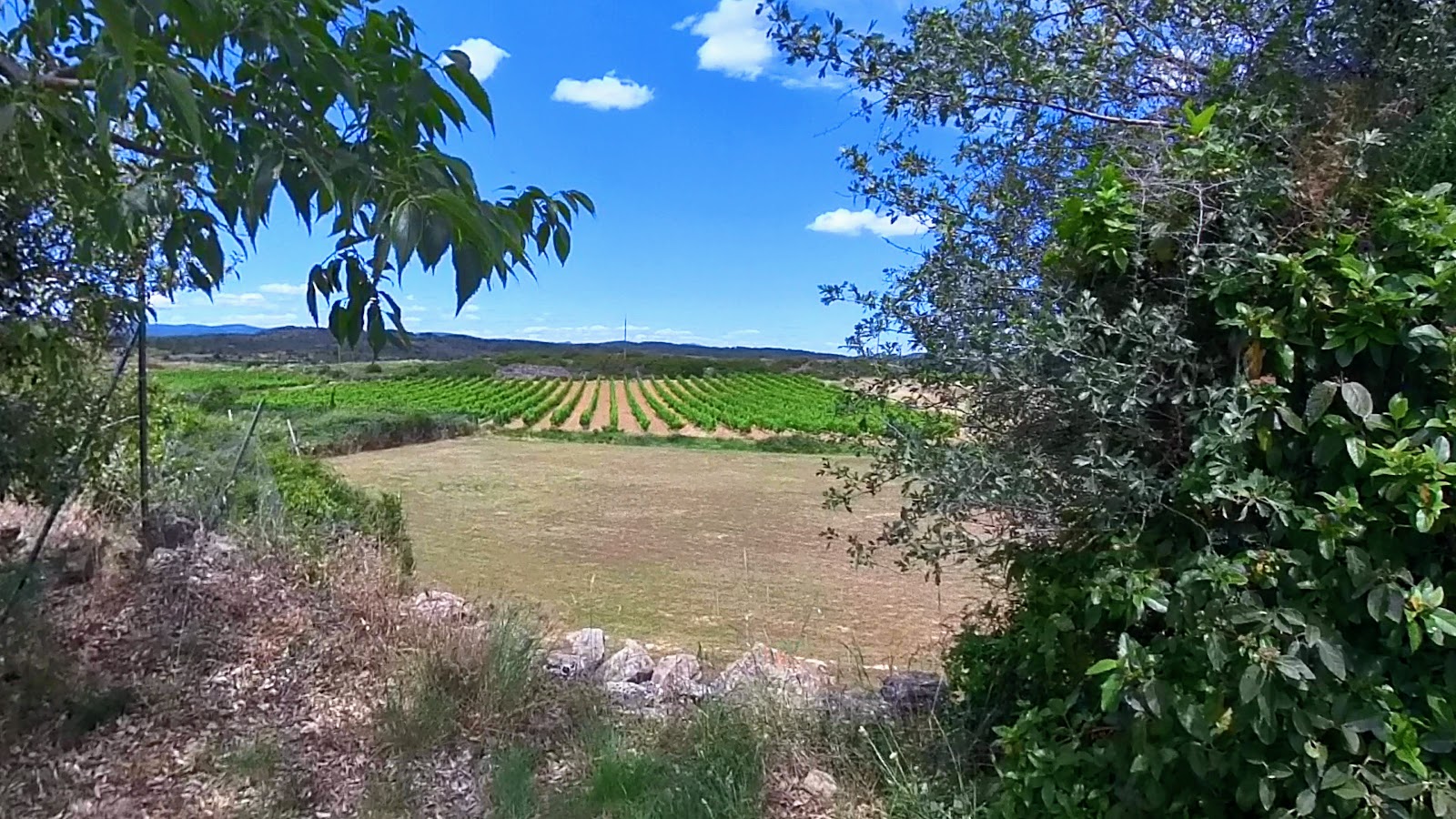 Villa à vendre  - 4 pièce(s) - 88m2 - Aigne (34210)