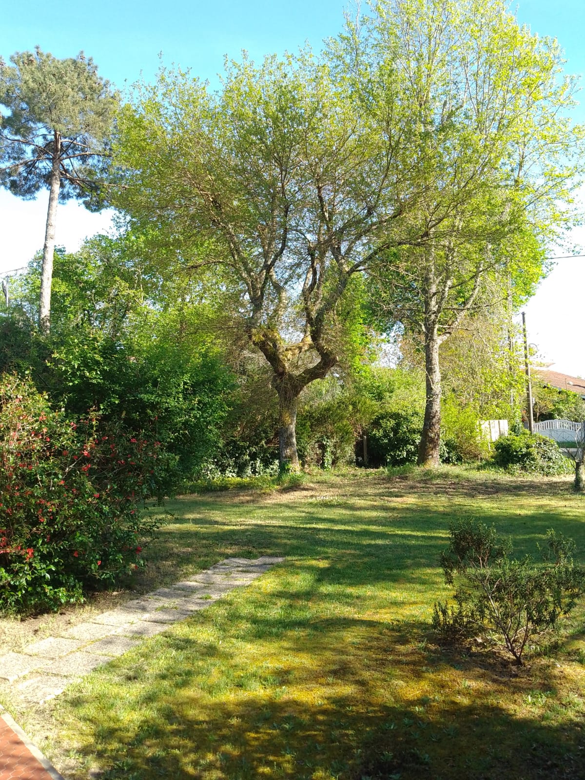 Maison à vendre  - 5 pièce(s) - 92m2 - Lège-cap-ferret (33950)