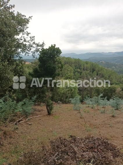 Terrain non constructible à vendre  - 1515m2 - Tanneron (83440)