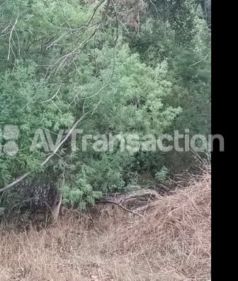 Terrain non constructible à vendre  - 1515m2 - Tanneron (83440)