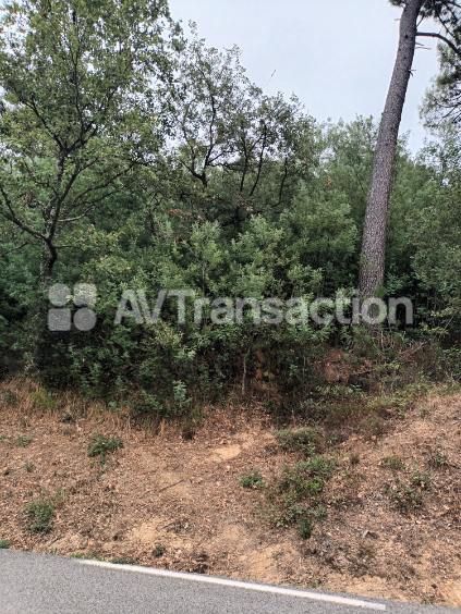Terrain non constructible à vendre  - 1515m2 - Tanneron (83440)