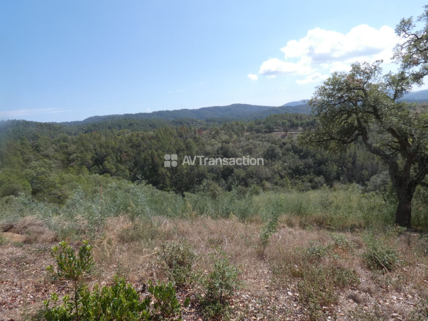 Terrain non constructible à vendre  - 5276m2 - Tanneron (83440)