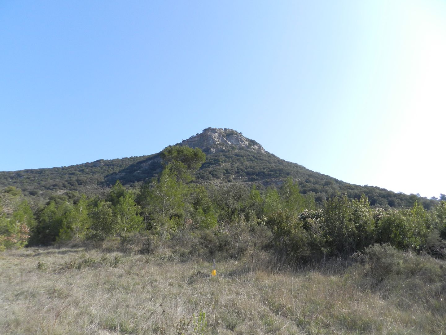 TERRAIN CONSTRUCTIBLE VIABILISÉ