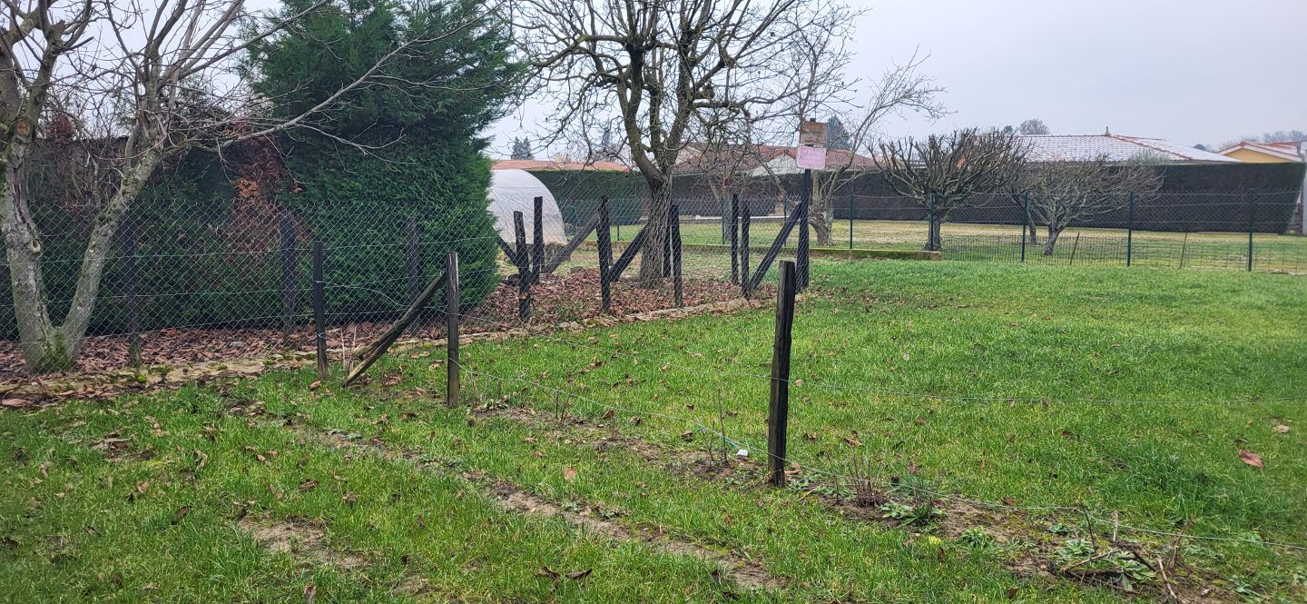 Terrain constructible à vendre  - 830m2 - Grièges (01290)