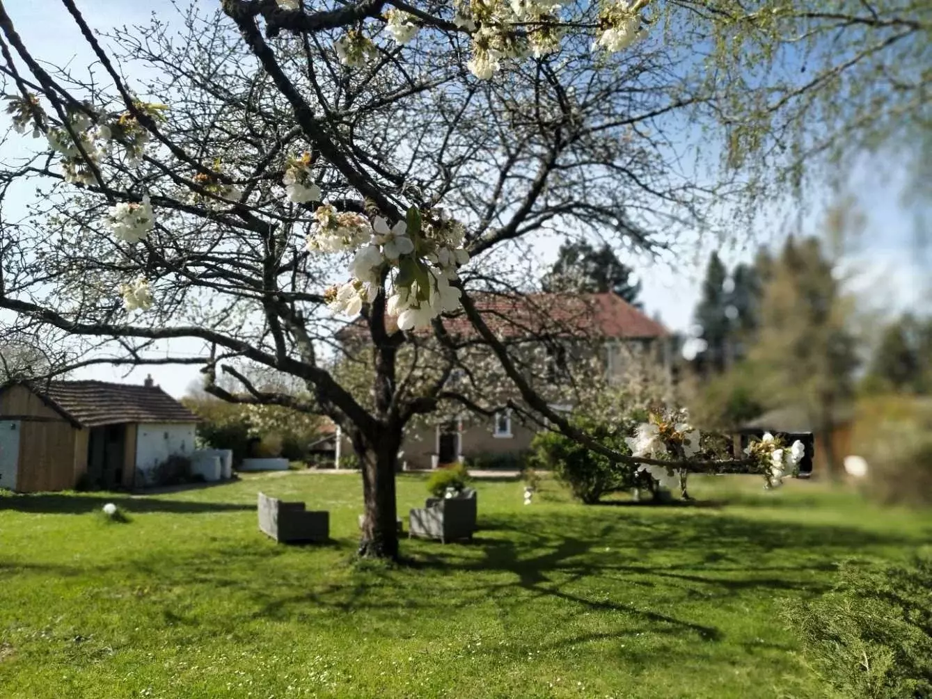 Maison à vendre  - 9 pièce(s) - 170m2 - Mansigné (72510)