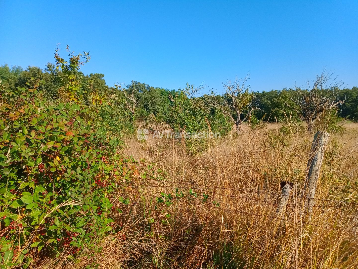 Terrain non constructible à vendre  - Cernay (86140)