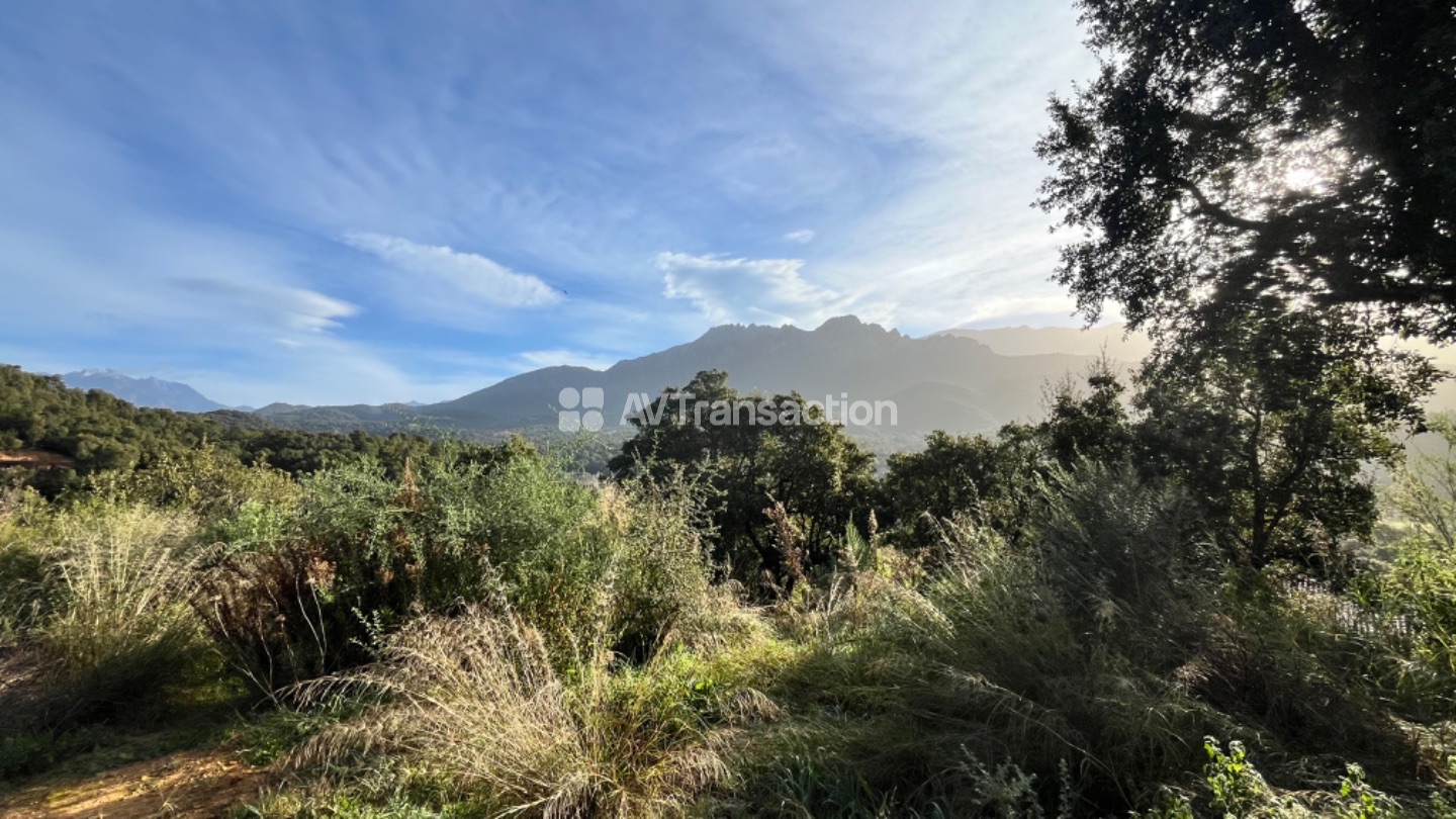 Terrain constructible à vendre  - 1750m2 - Tavaco (20167)