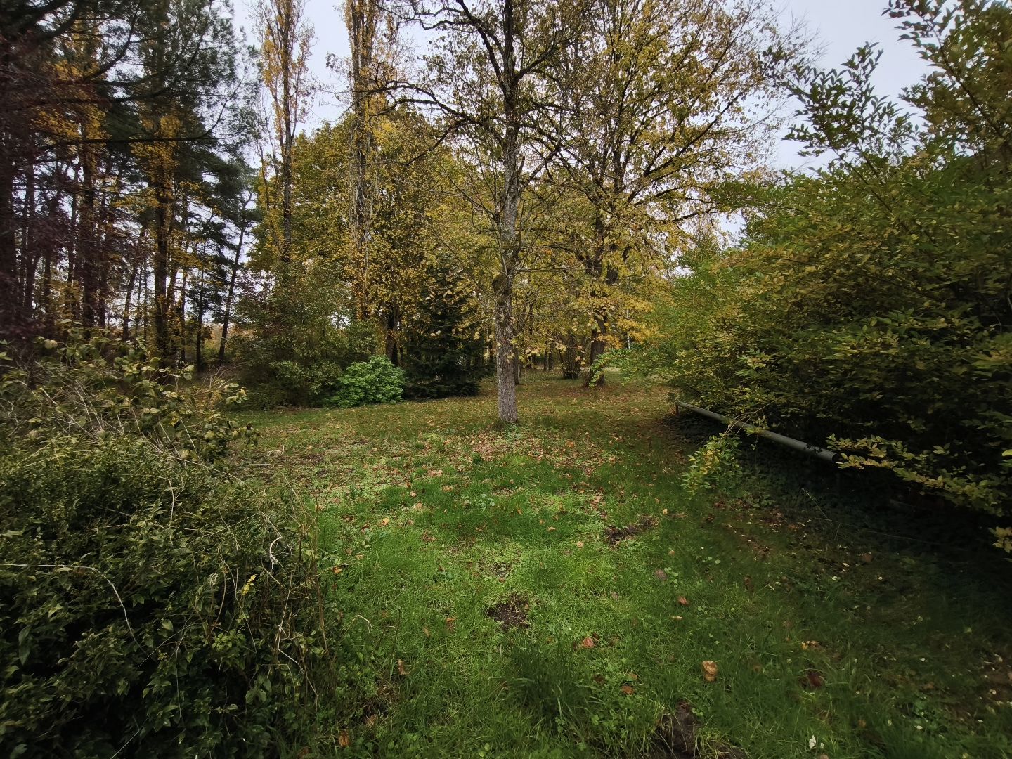 Longere à vendre  - 7 pièce(s) - 243m2 - Villefranche-sur-cher (41200)