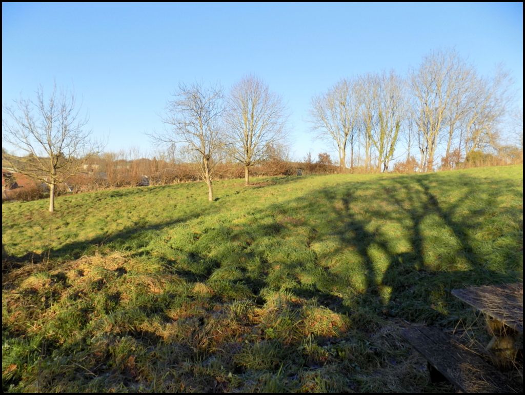 Maison à vendre  - 9 pièce(s) - 220m2 - Matton (08110)