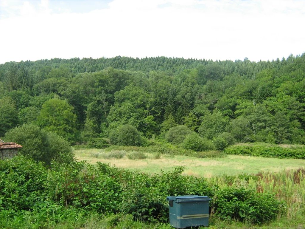 Terrain non constructible à vendre  - 5500m2 - Aubbusson (23200)