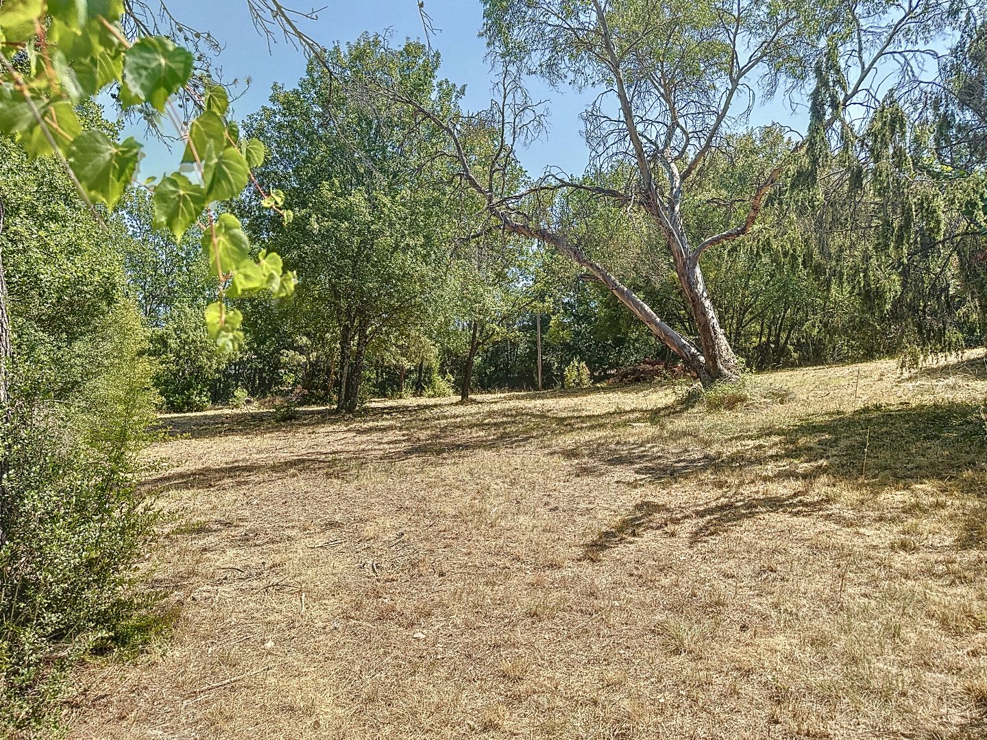 Maison à vendre  - 128m2 - Le Thoronet (83340)