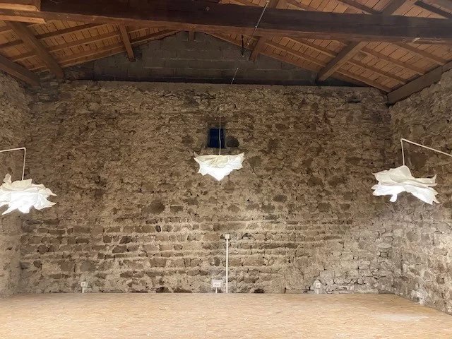 Maison à vendre  - 9 pièce(s) - 305m2 - Arconsat (63250)