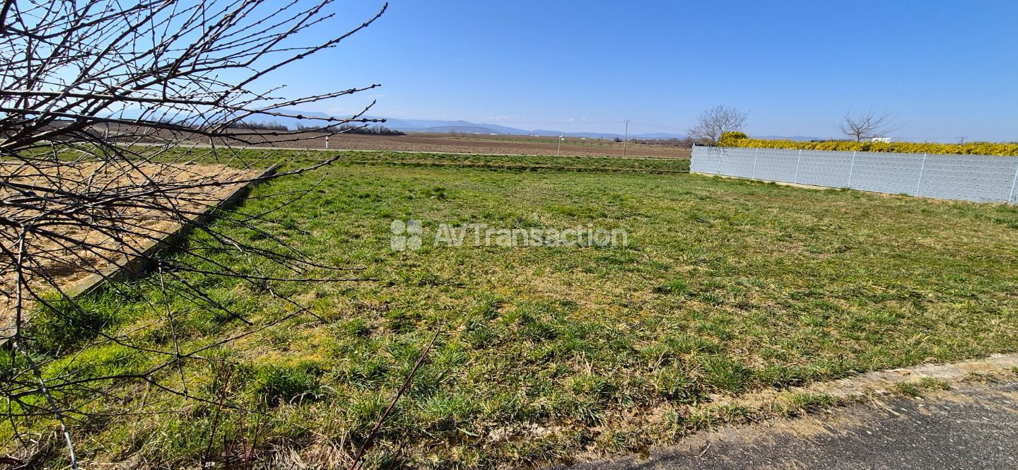 Terrain à vendre  - 500m2 - Innenheim (67880)
