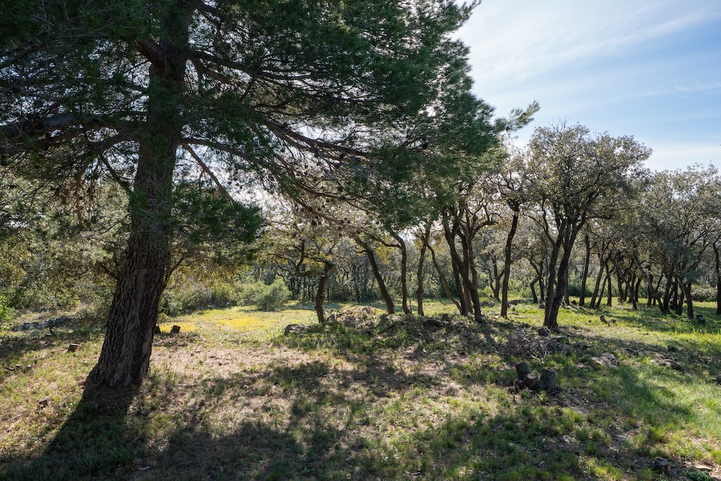 Maison à vendre  - 5 pièce(s) - 170m2 - Siran (34210)