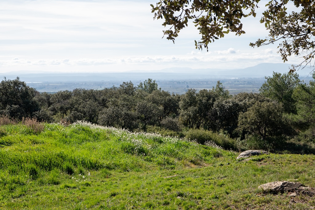 Maison à vendre  - 5 pièce(s) - 170m2 - Siran (34210)