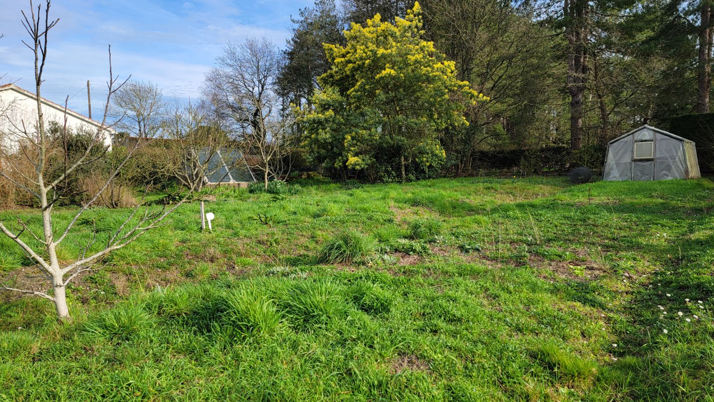 Terrain constructible à vendre  - 1037m2 - Challans (85300)