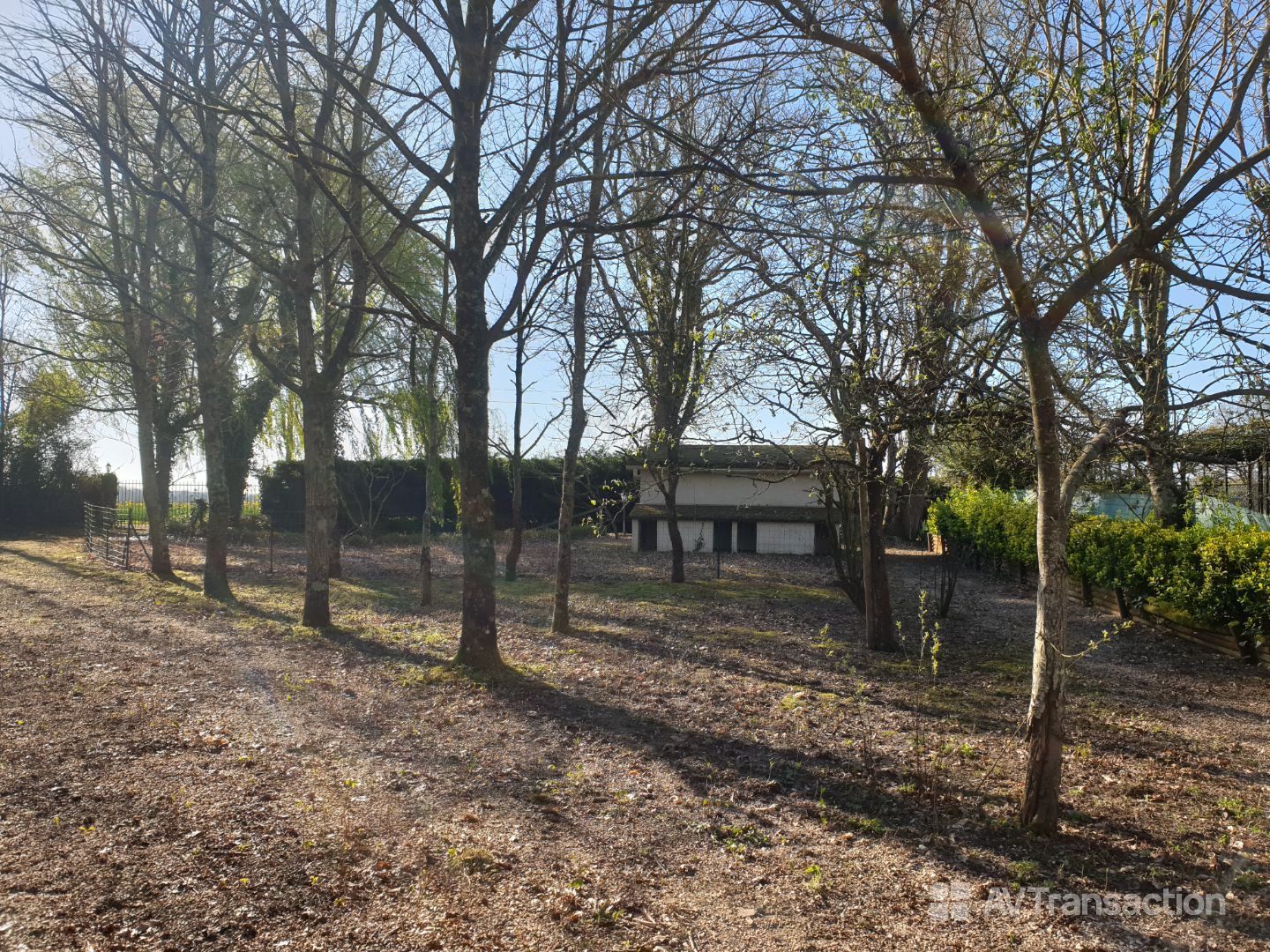 Maison à rénover à vendre  - 7 pièce(s) - 159.6m2 - Villeloin-coulangé (37460)