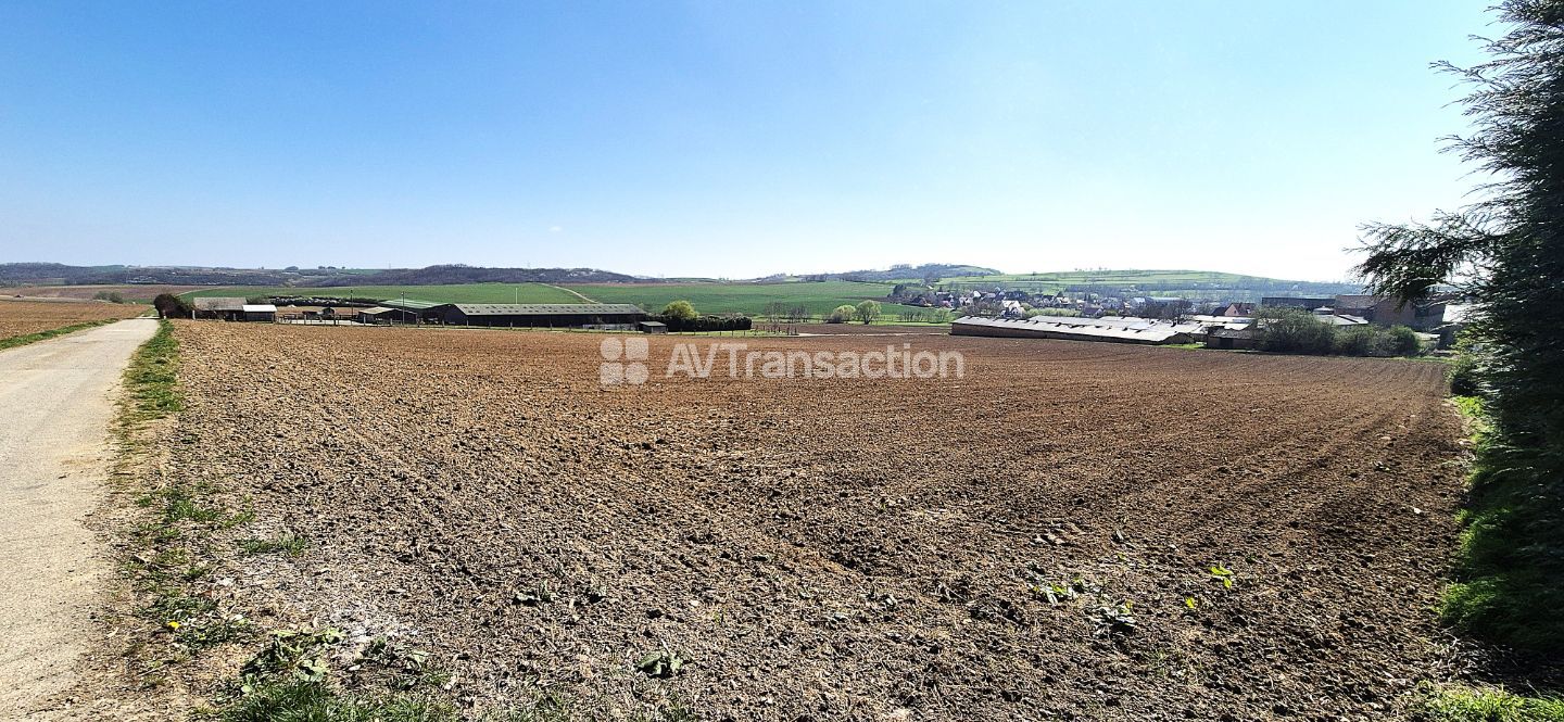 Maison à vendre  - 5 pièce(s) - 115m2 - Willgottheim (67370)