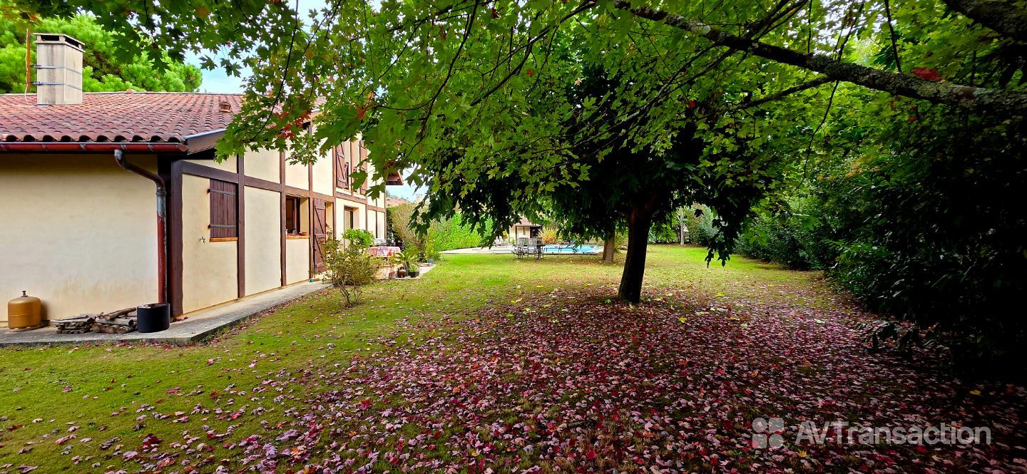 Maison landaise en lisière de forêt.
