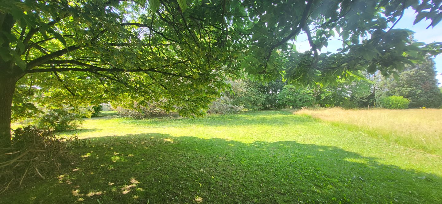 Terrain constructible à vendre  - 1232m2 - Cruzilles-lès-mépillat (01290)