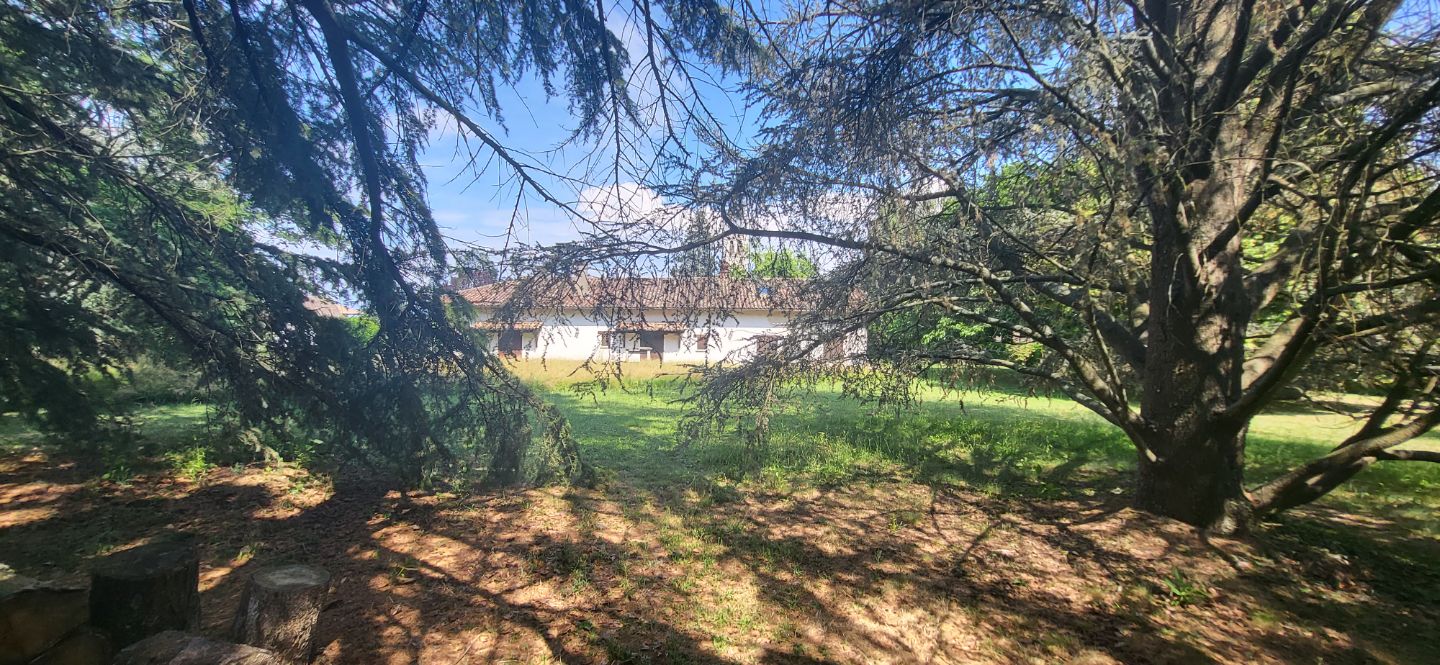 Terrain constructible à vendre  - 1232m2 - Cruzilles-lès-mépillat (01290)