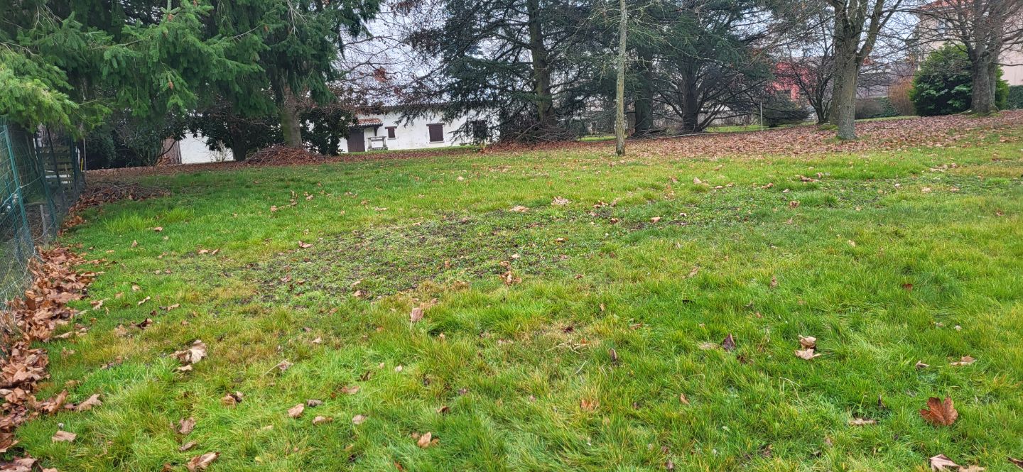 Terrain constructible à vendre  - 1232m2 - Cruzilles-lès-mépillat (01290)