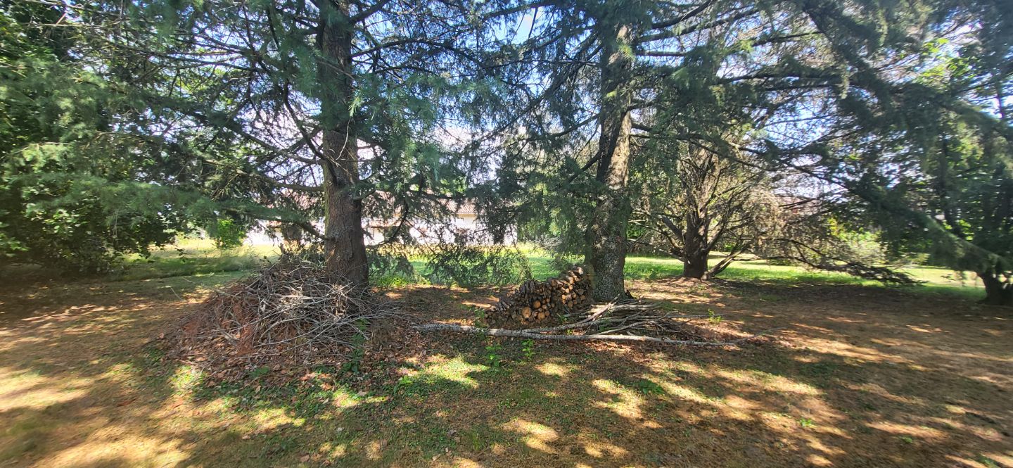 Terrain constructible à vendre  - 1232m2 - Cruzilles-lès-mépillat (01290)