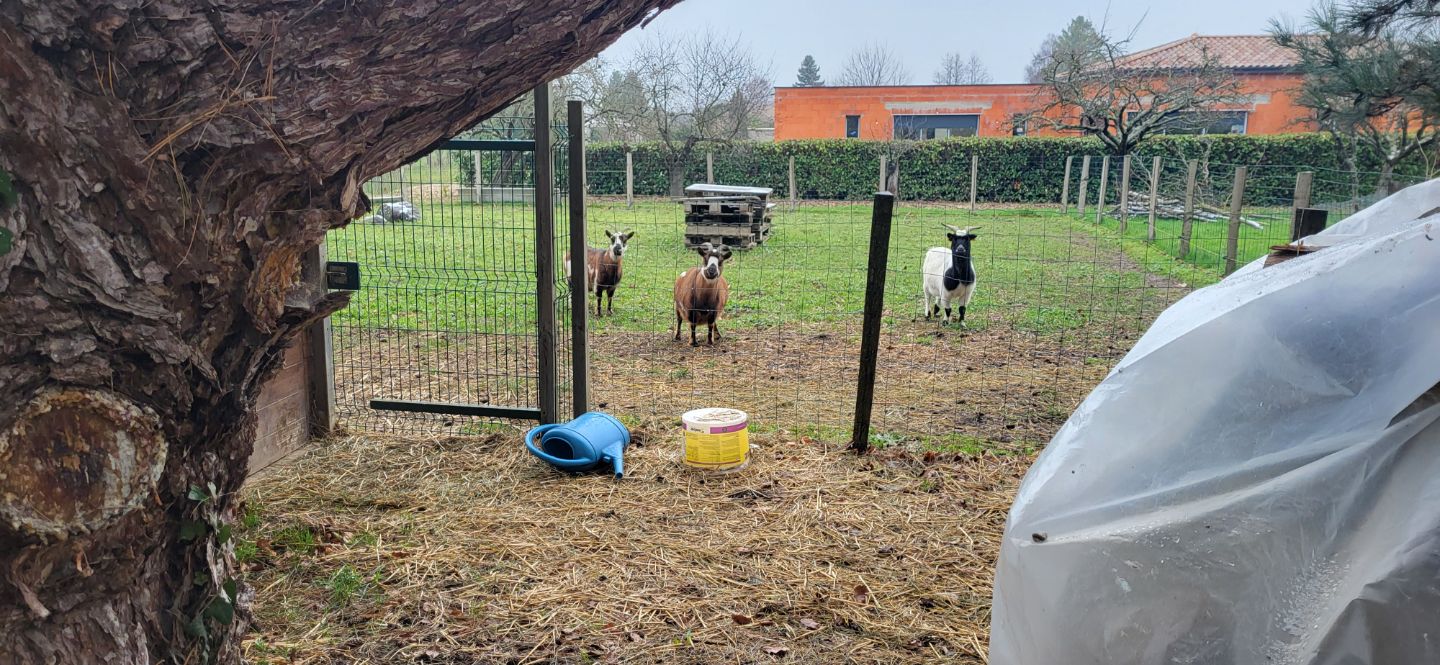 Terrain constructible à vendre  - 1232m2 - Cruzilles-lès-mépillat (01290)