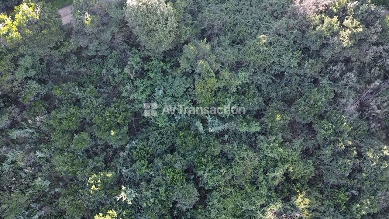 Terrain de trois lots constructible à vendre plaine de Cuttoli