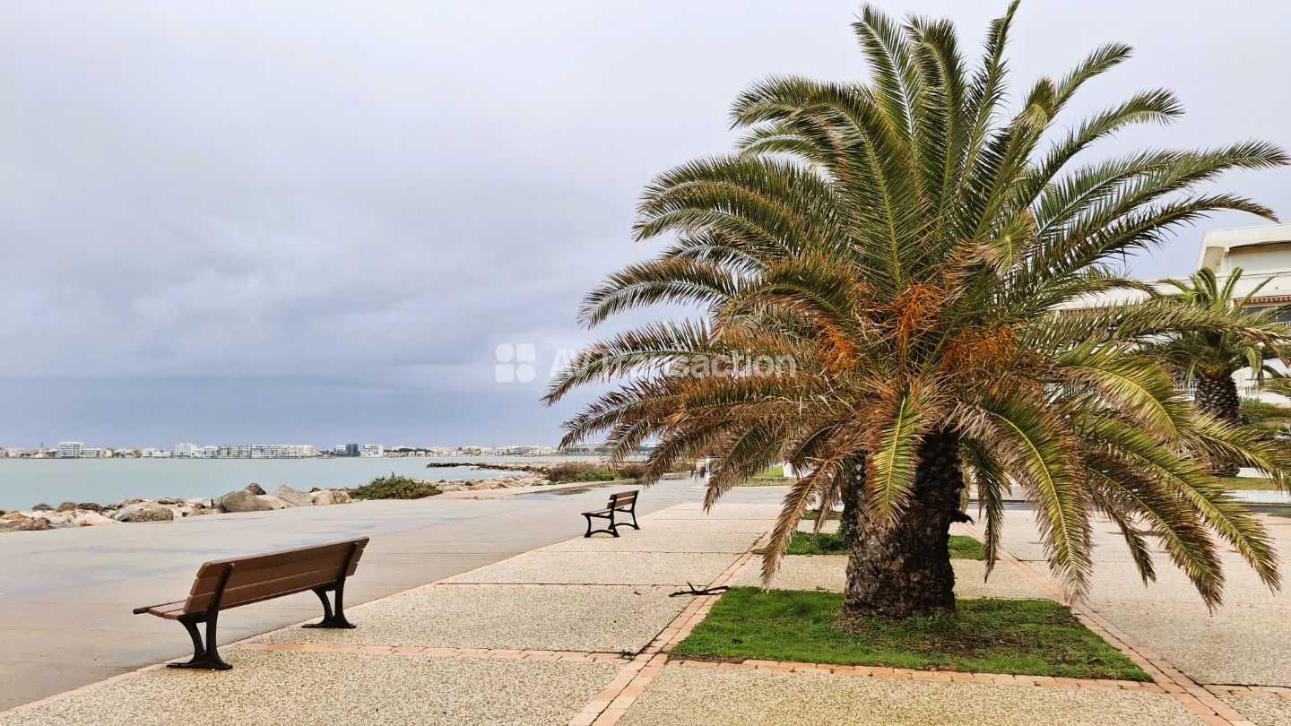 Appartement à vendre  - 30m2 - Le Grau-du-roi (30240)