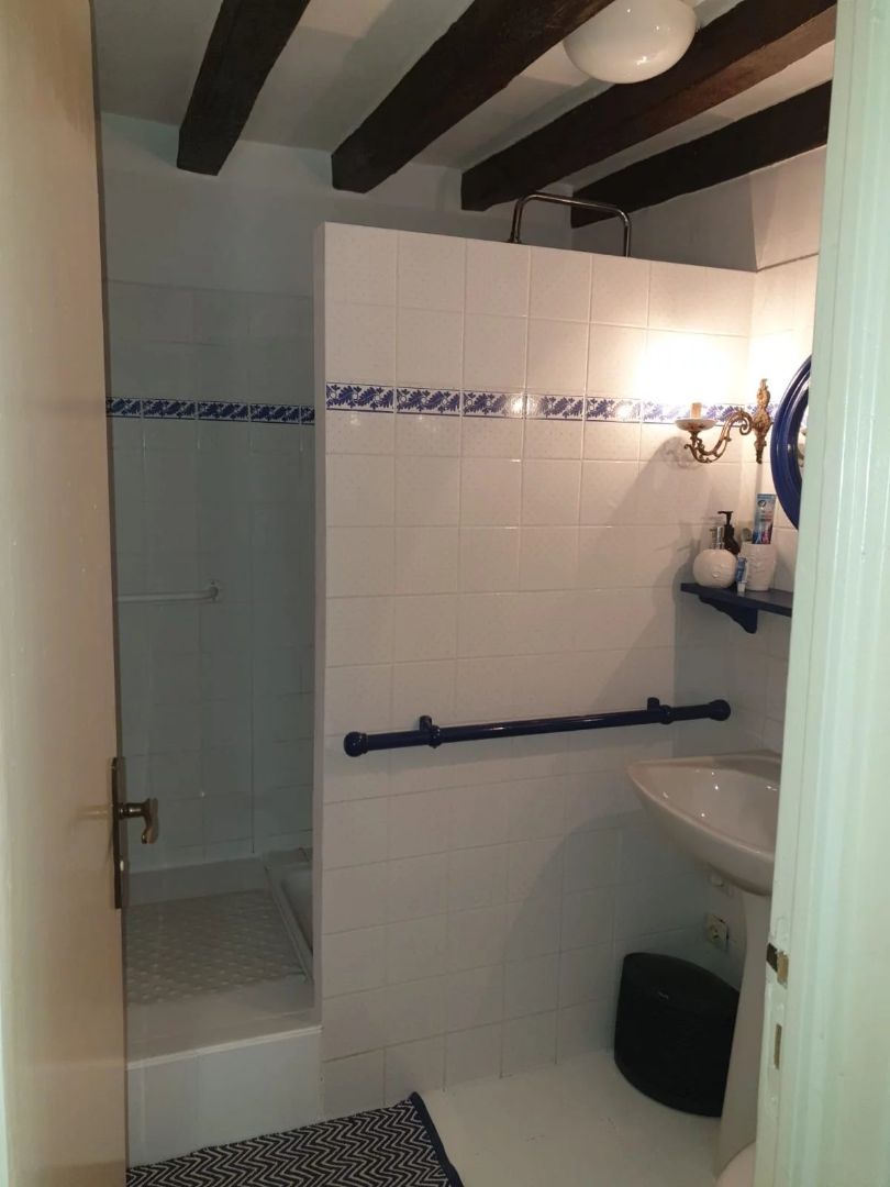 Moulin à vendre  - 12 pièce(s) - 410m2 - Blèves (72600)