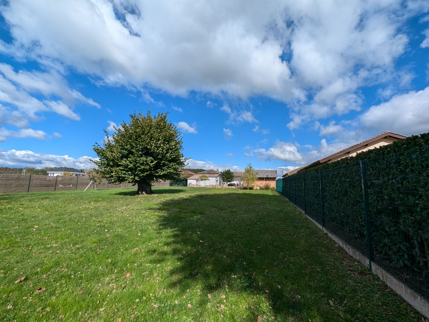 Maison à vendre  - 7 pièce(s) - 220m2 - Grièges (01290)