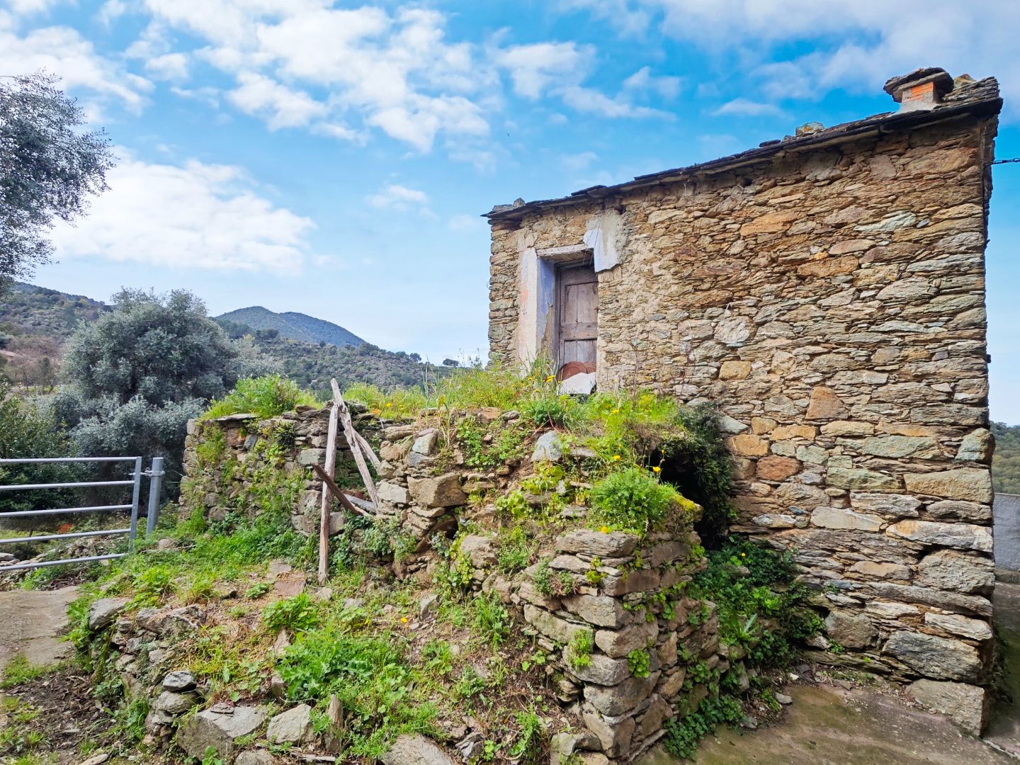 Maison à rénover à vendre  - 38.8m2 - Valle Di Rostino (20235)